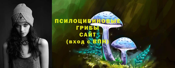 a pvp Касимов