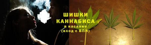 МДПВ Карпинск