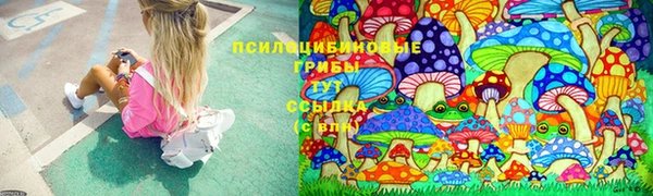 МДПВ Карпинск