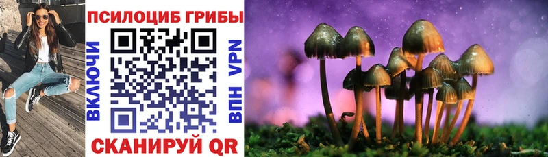 Псилоцибиновые грибы Psilocybine cubensis  Ковдор 